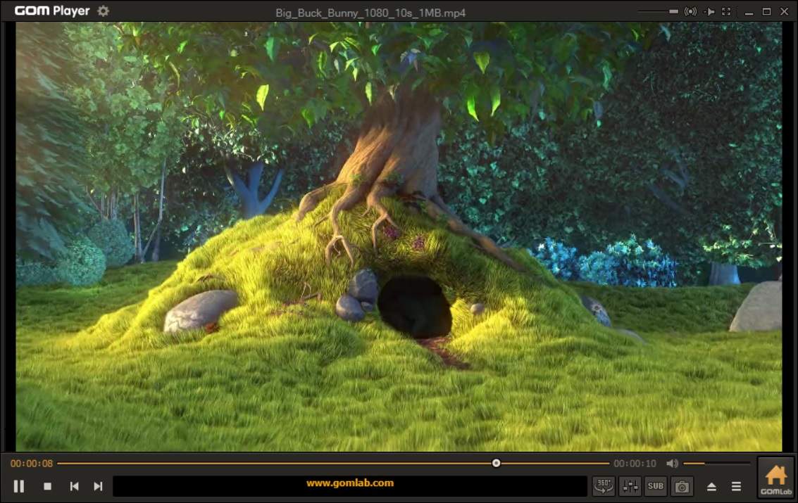 GOM Media Player Screenshot